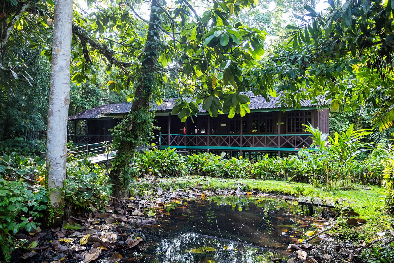 Longhouse Mulu Park HQ Accommodation