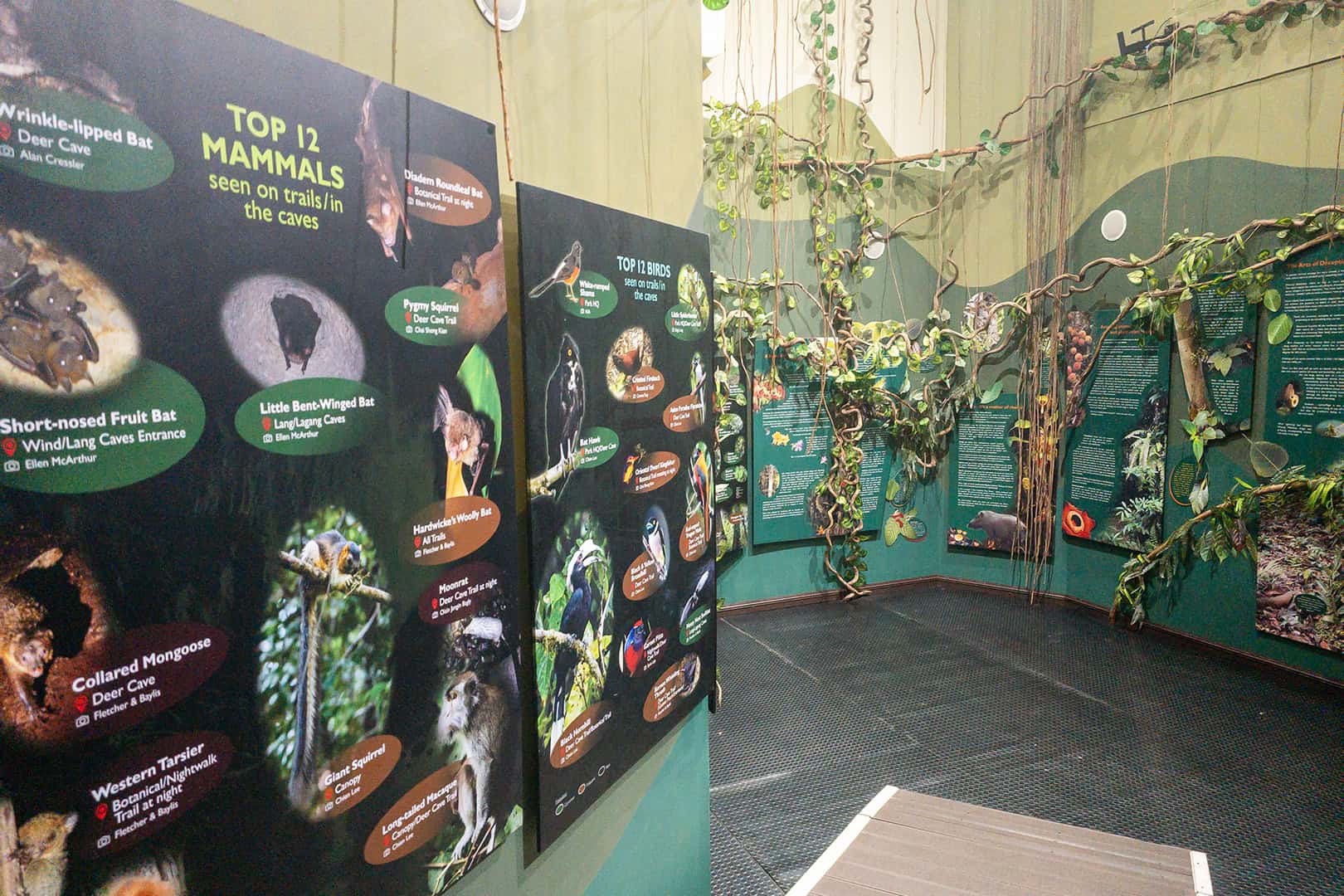 Information about Mulu National Park