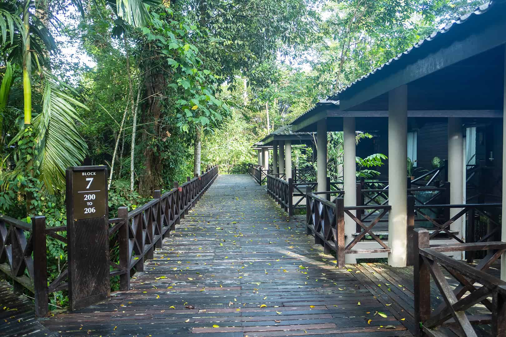 Kamers Mulu Marriott Resort