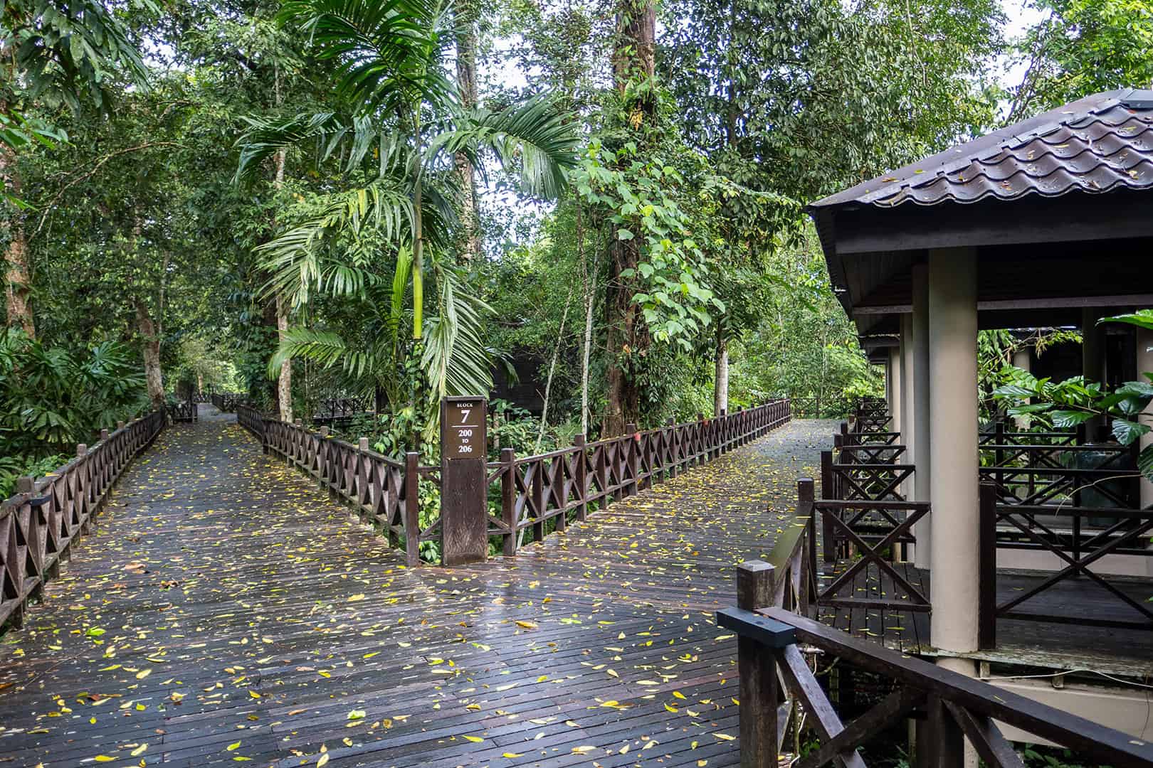 Verhoogde wandelpaden bij Mulu Marriott Resort