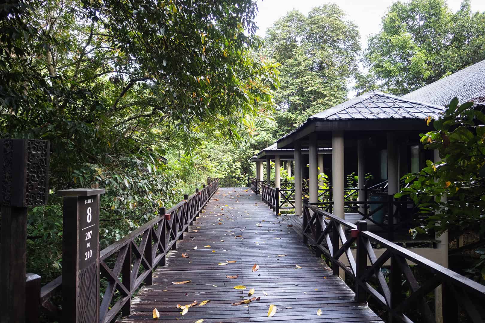 Kamers Mulu Marriott Resort