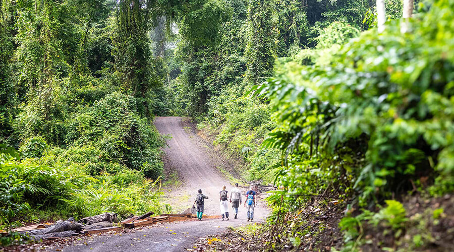 Danum Valley