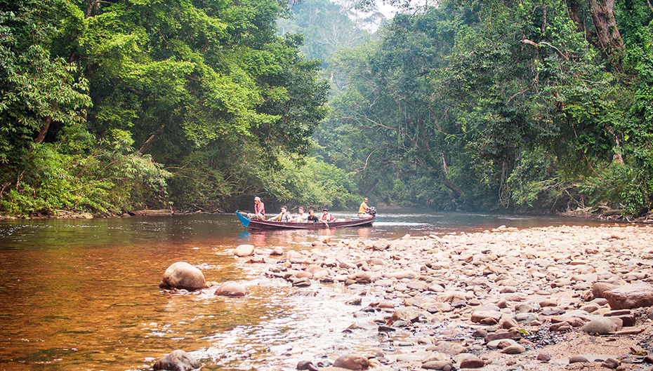 Taman Negara