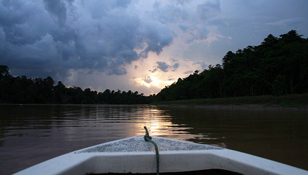 Kinabatangan rivier 4