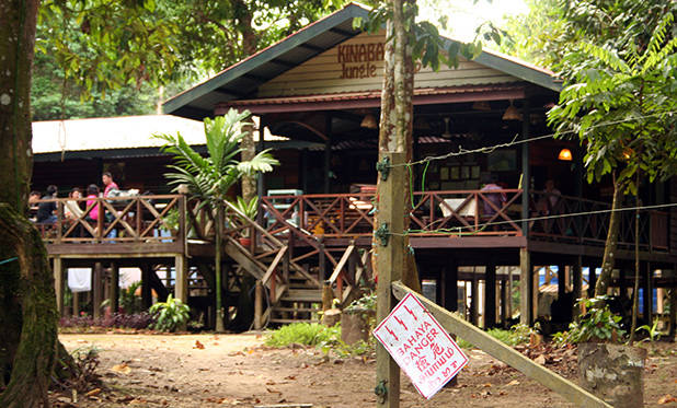 Kinabatangan Jungle Kamp (KJC)