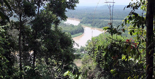 Kinabatangan rivier