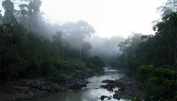 Danum Valley