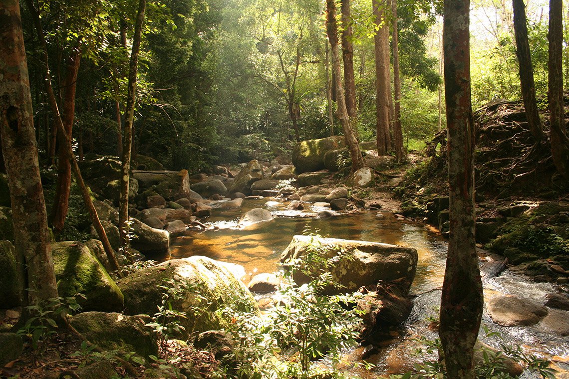 Gunung Ledang