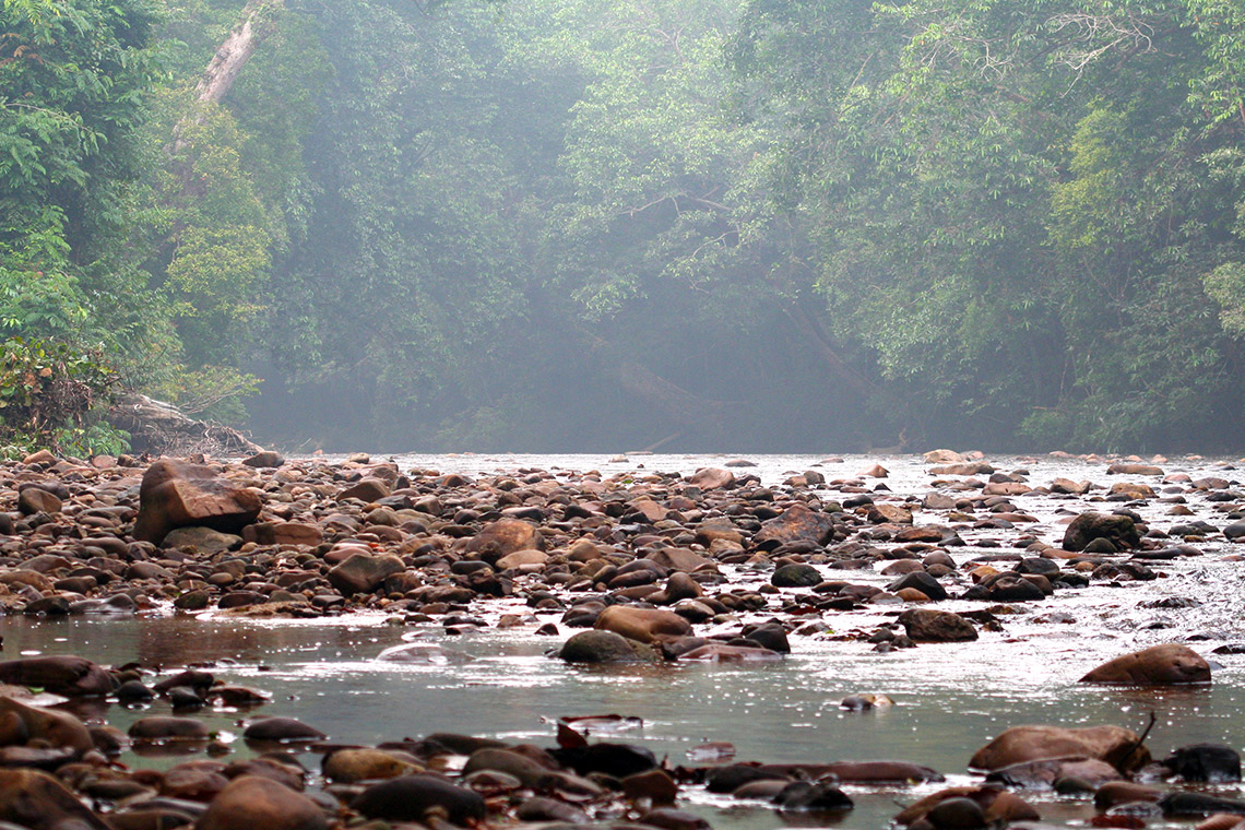 Taman Negara