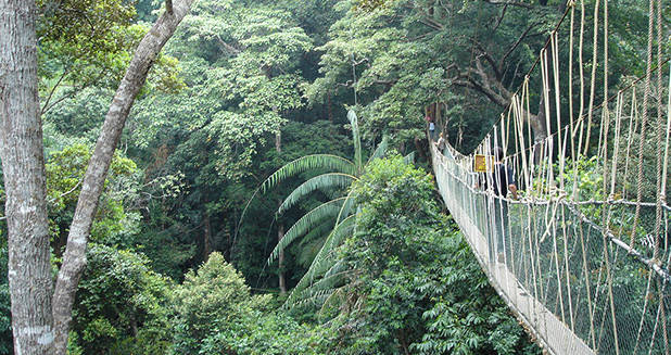 Taman Negara nationaal park