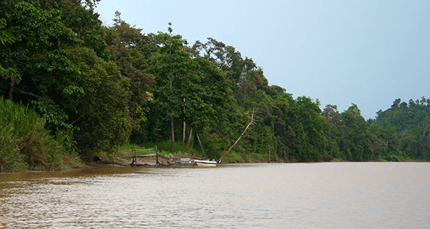 Kinabatangan rivierendelta