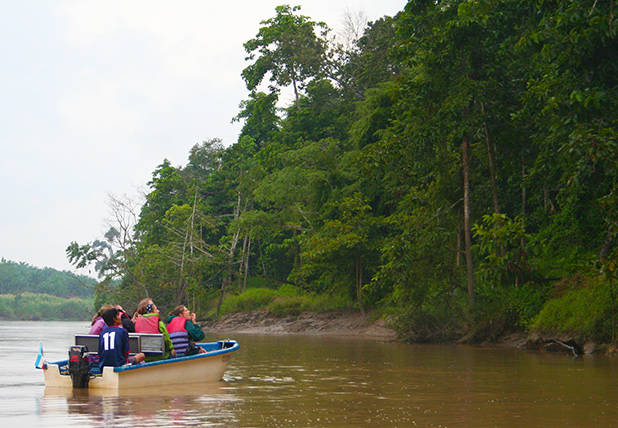 Riviercruise over de Kinabatangan 1