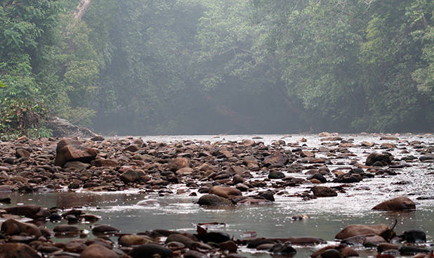 Taman Negara nationaal park 1