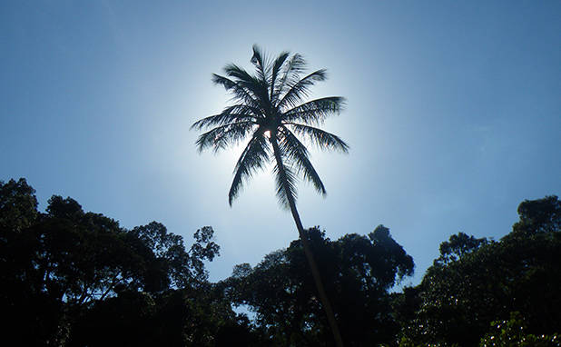 Prachtig tropisch weer in Maleisie