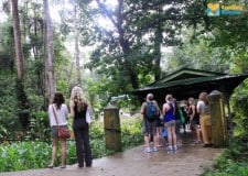 Toerisme in Maleisie stijgt in 2012