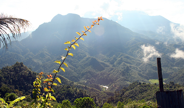 reisverslag-ilsa-2006-mount-kinabalu-1