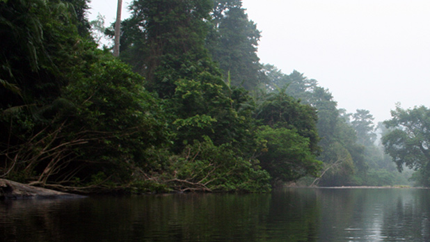 reisverslag-dena-taman-negara-rivier