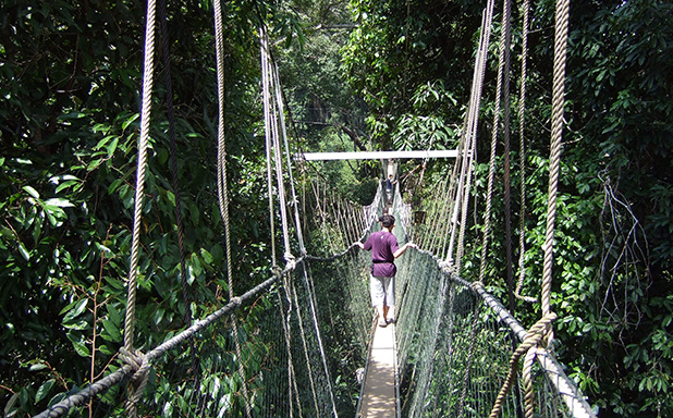 reisverslag-maleisie-michiel-taman-negara