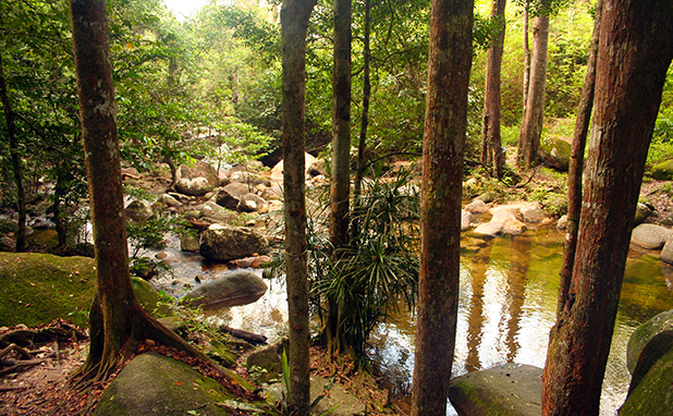 reisverslag-maleisie-2008-gunung-ledang