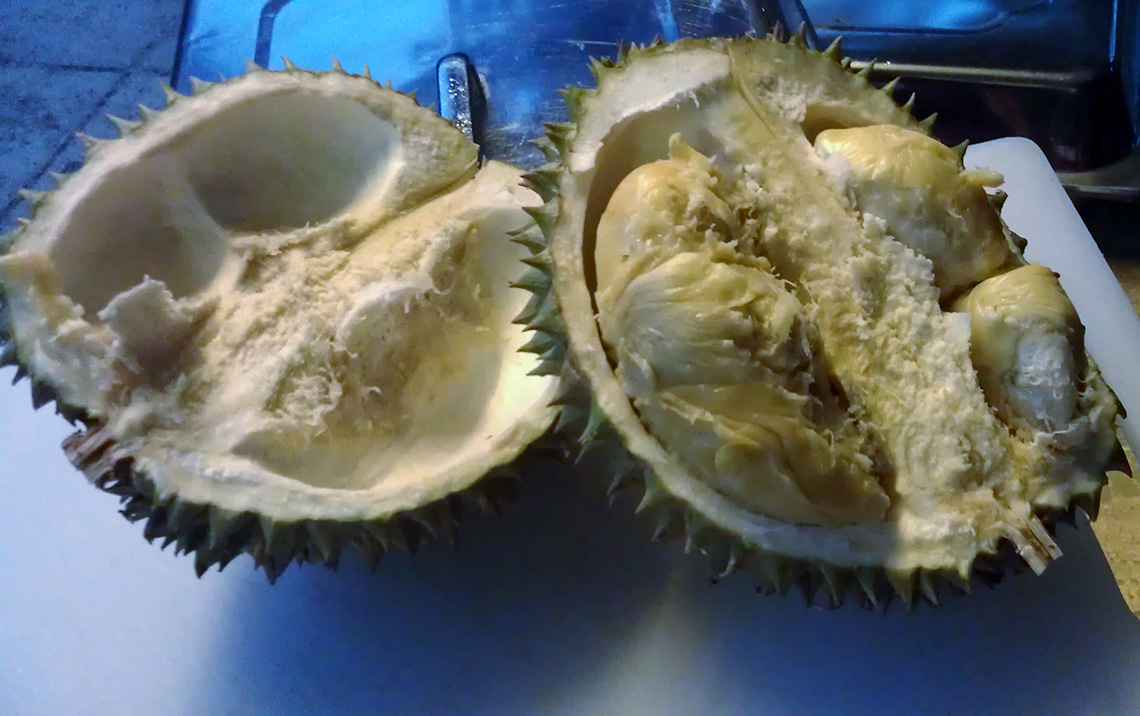 overheerlijke-durian-op-rainforest-resort