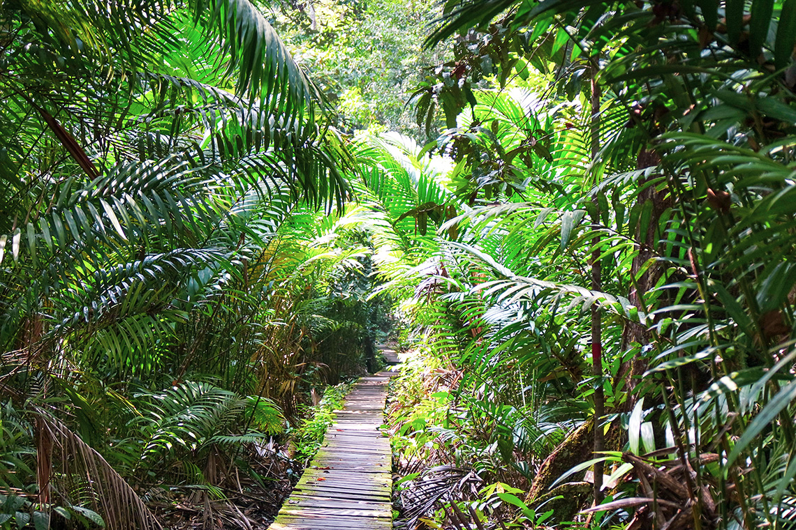 Bako Nationaal Park