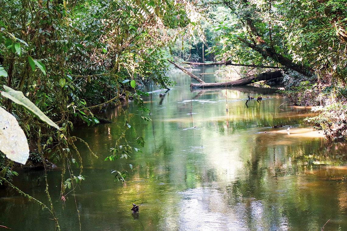 Mulu National Park