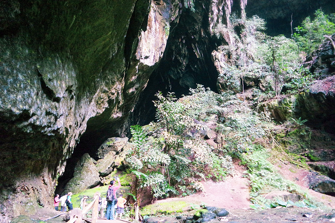 Mulu National Park