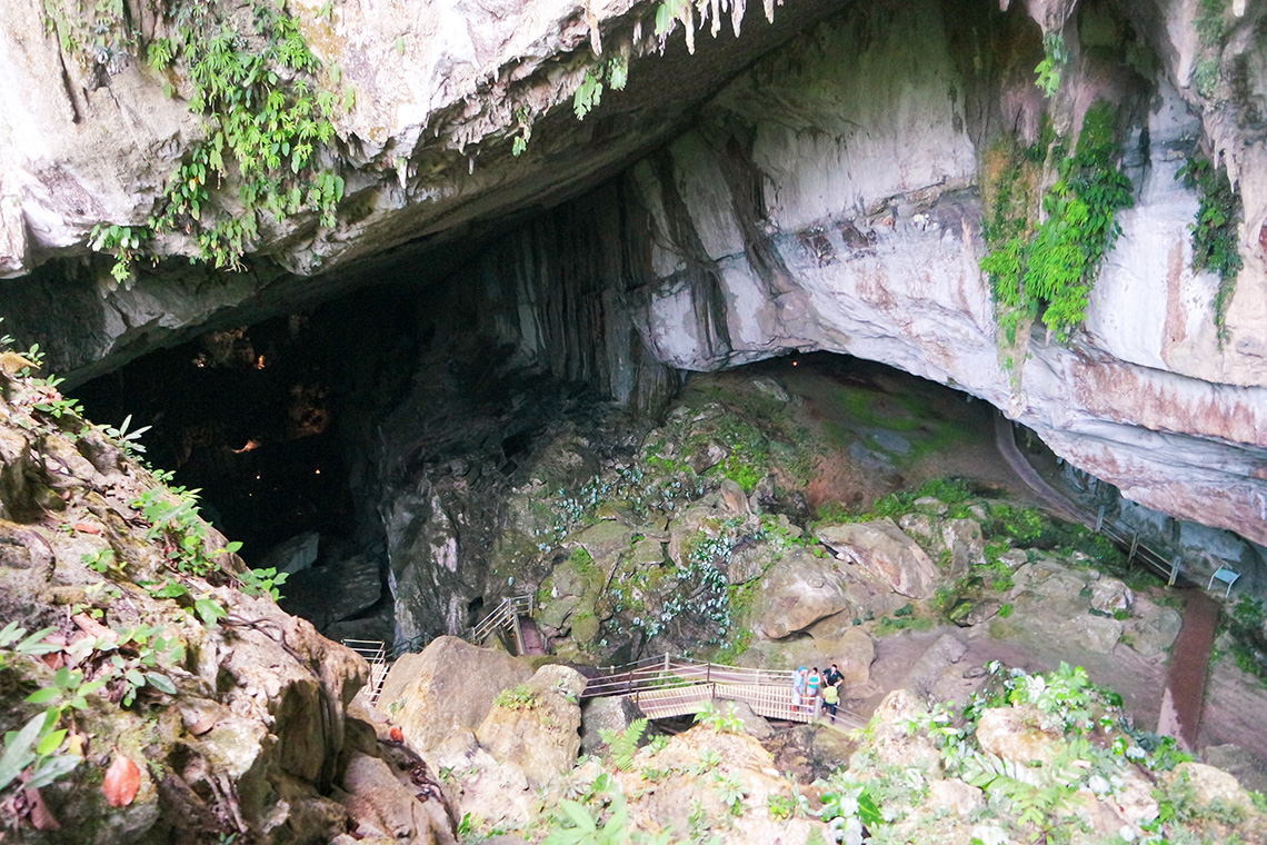 Mulu National Park