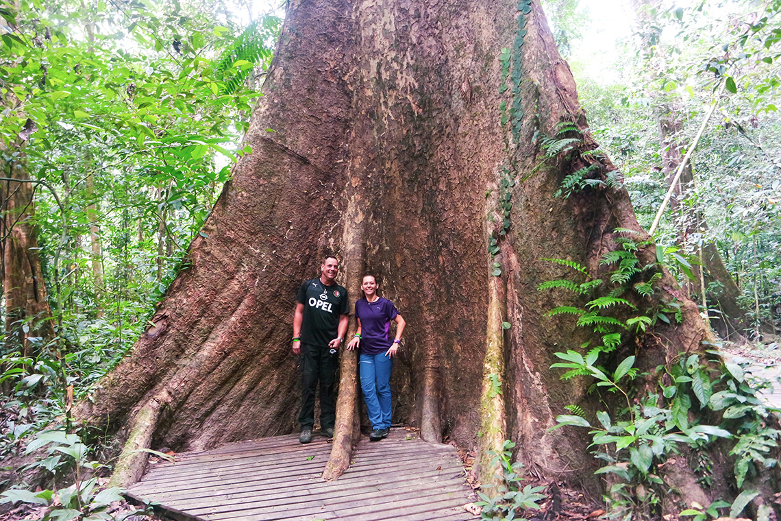 Mulu National Park