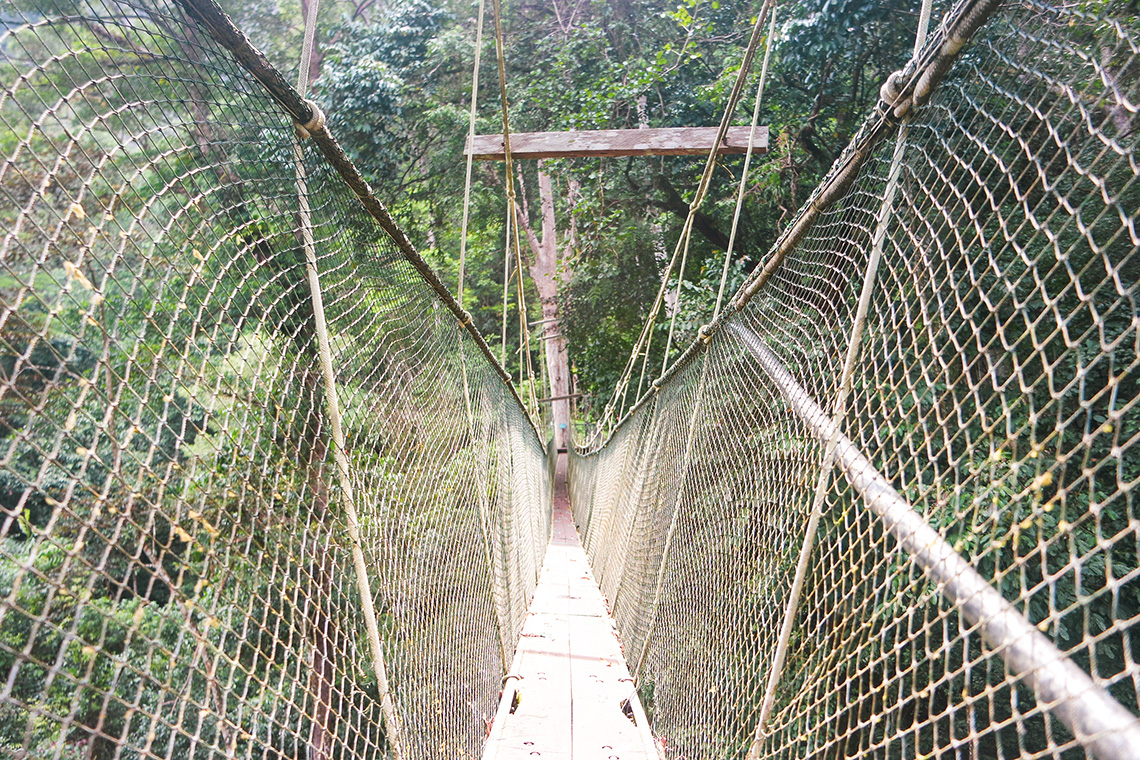 Mulu National Park