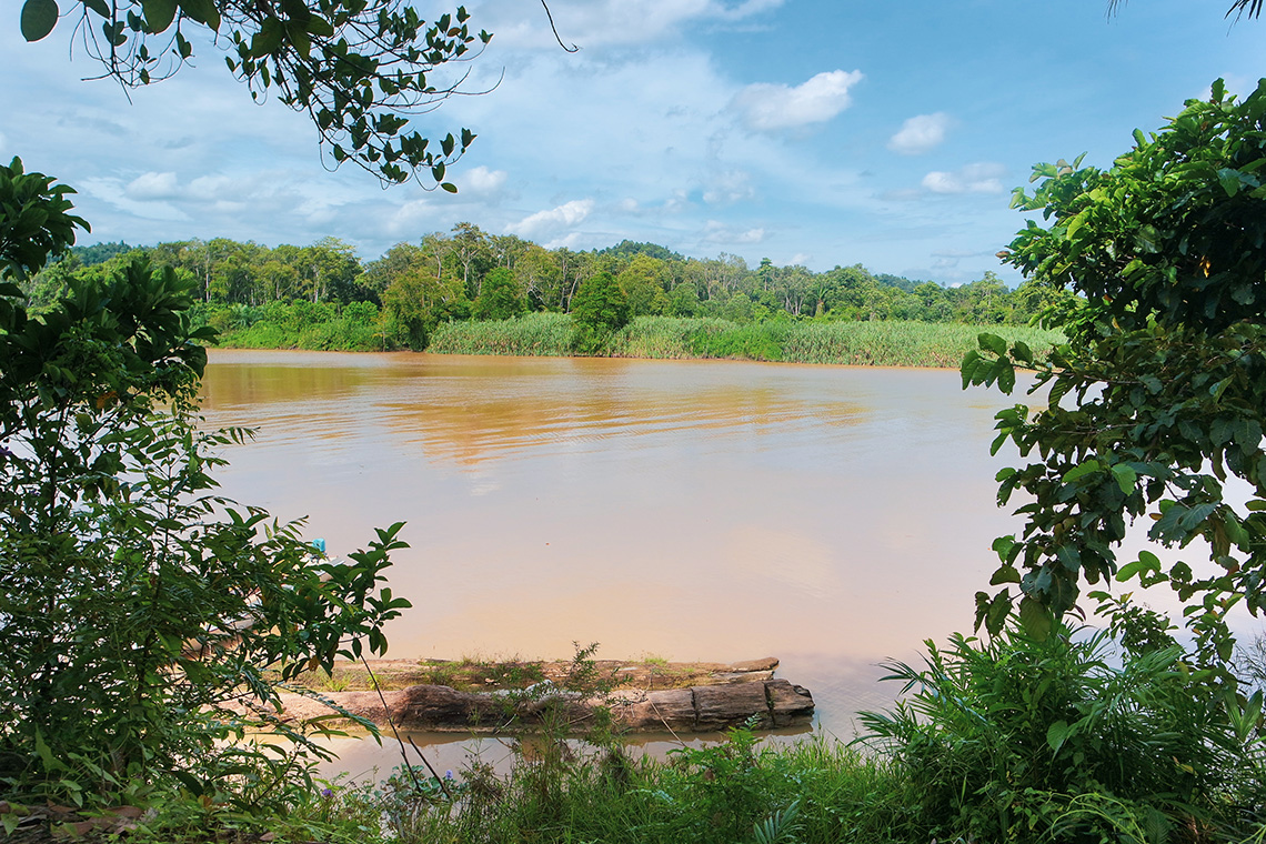 Kinabatangan River