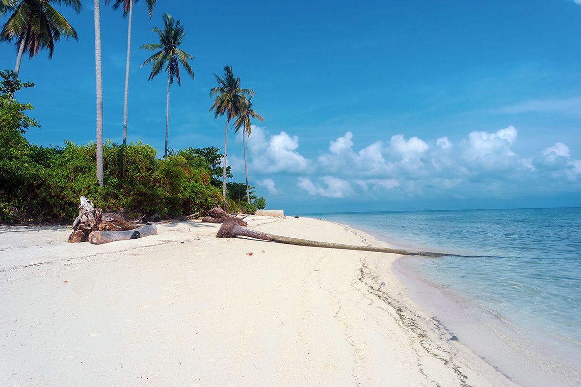 Derawan Island (Kalimantan Indonesia)