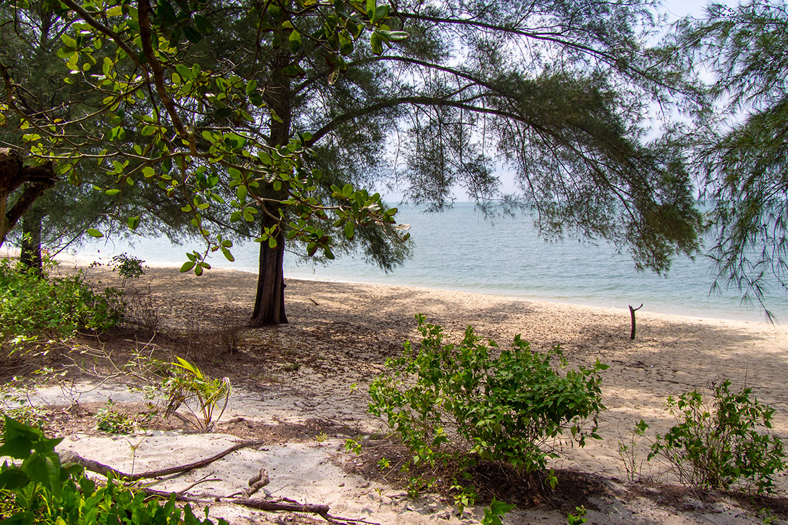 Penang National Park