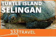 Naar Selingan met 333travel