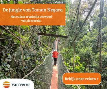 Met Van Verre naar Taman Negara