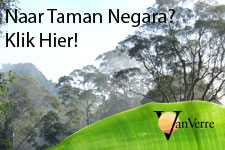 Met Van Verre naar Taman Negara