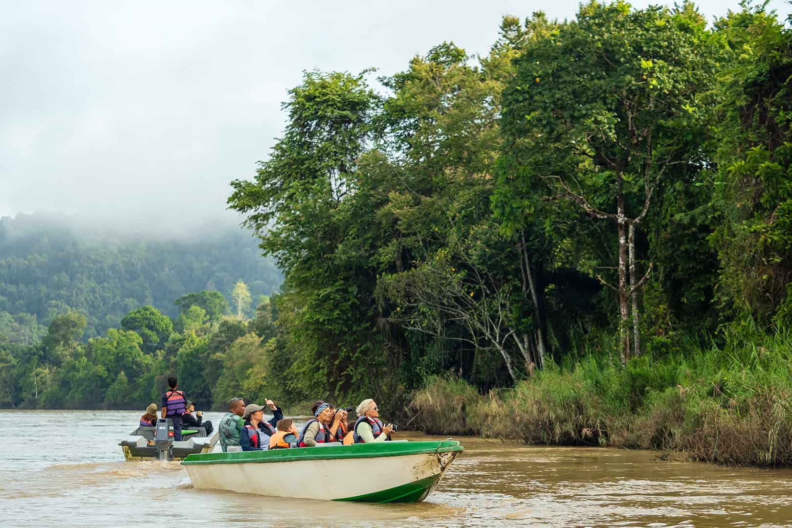 Kinabatangan rivercruise