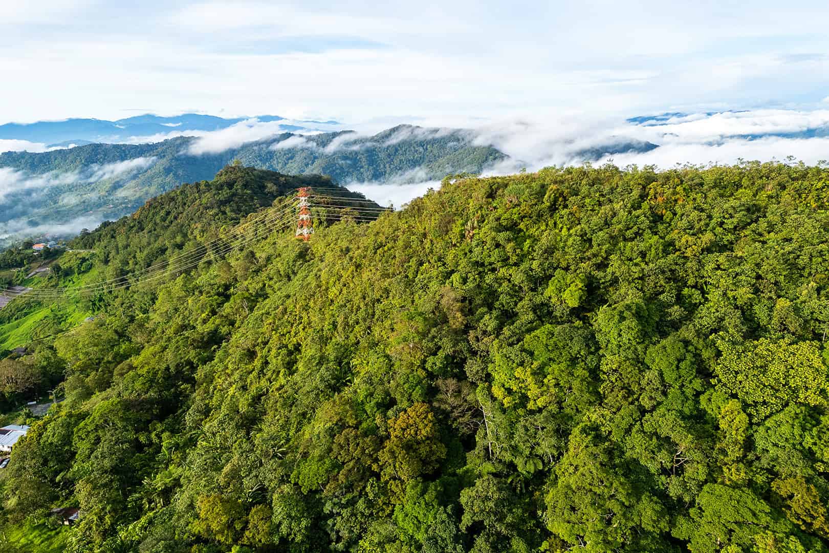 Heuvels met junglebossen in Kinabalu National Park
